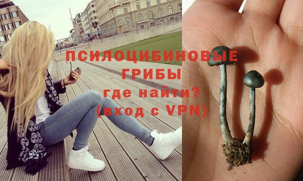 каннабис Алексеевка