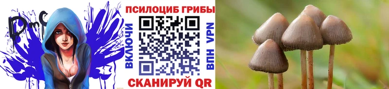 Галлюциногенные грибы MAGIC MUSHROOMS  Череповец 